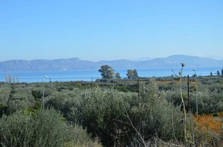 Αγροτεμάχια 1.310 τ.μ. για πώληση, Αργολίδα, Λέρνα-thumb-11