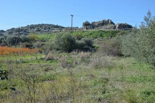 Αγροτεμάχια 1.310 τ.μ. για πώληση, Αργολίδα, Λέρνα-thumb-4