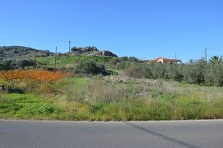 Αγροτεμάχια 1.310 τ.μ. για πώληση, Αργολίδα, Λέρνα-thumb-3