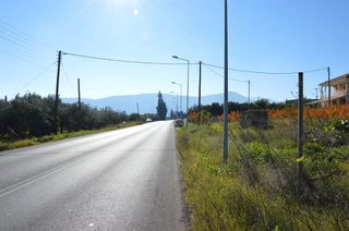 Αγροτεμάχια 1.310 τ.μ. για πώληση, Αργολίδα, Λέρνα-thumb-8
