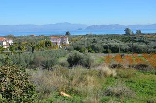 Αγροτεμάχια 1.310 τ.μ. για πώληση, Αργολίδα, Λέρνα-thumb-20