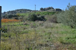 Αγροτεμάχια 1.310 τ.μ. για πώληση, Αργολίδα, Λέρνα-thumb-24