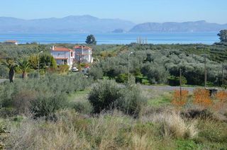 Αγροτεμάχια 1.310 τ.μ. για πώληση, Αργολίδα, Λέρνα-thumb-16