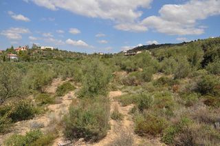 Αγροτεμάχια 19.000 τ.μ. για πώληση, Αργολίδα, Ναύπλιο-thumb-10