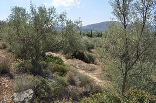 Αγροτεμάχια 19.000 τ.μ. για πώληση, Αργολίδα, Ναύπλιο-thumb-16