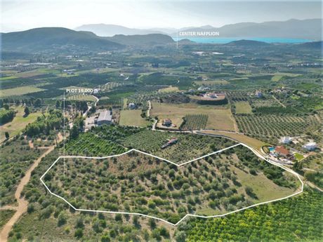 Αγροτεμάχια 19.000τ.μ. για πώληση-Ναύπλιο