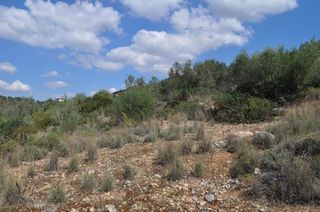 Αγροτεμάχια 19.000 τ.μ. για πώληση, Αργολίδα, Ναύπλιο-thumb-22