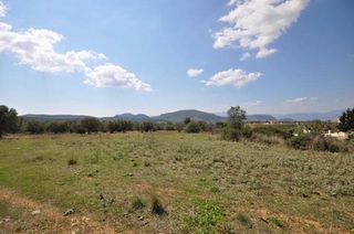 Αγροτεμάχια 19.000 τ.μ. για πώληση, Αργολίδα, Ναύπλιο-thumb-15
