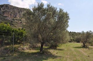 Αγροτεμάχια 19.000 τ.μ. για πώληση, Αργολίδα, Ναύπλιο-thumb-7