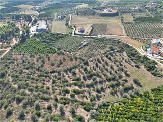 Αγροτεμάχια 19.000 τ.μ. για πώληση, Αργολίδα, Ναύπλιο-thumb-1