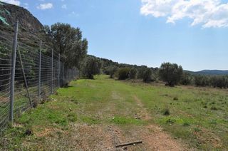 Αγροτεμάχια 19.000 τ.μ. για πώληση, Αργολίδα, Ναύπλιο-thumb-9