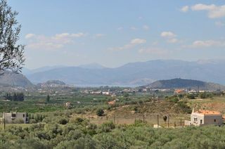 Αγροτεμάχια 19.000 τ.μ. για πώληση, Αργολίδα, Ναύπλιο-thumb-5