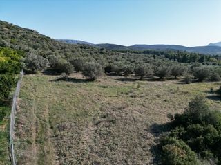 Αγροτεμάχια 19.000 τ.μ. για πώληση, Αργολίδα, Ναύπλιο-thumb-3