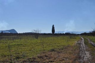 Αγροτεμάχια 8.000 τ.μ. για πώληση, Αργολίδα, Άργος-thumb-9