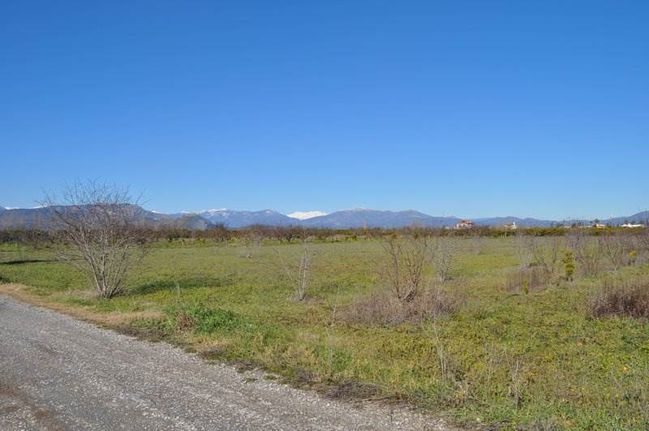 Αγροτεμάχια 8.000 τ.μ. για πώληση, Αργολίδα, Άργος