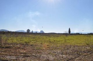 Αγροτεμάχια 8.000 τ.μ. για πώληση, Αργολίδα, Άργος-thumb-23