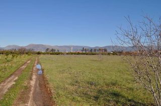 Αγροτεμάχια 8.000 τ.μ. για πώληση, Αργολίδα, Άργος-thumb-6