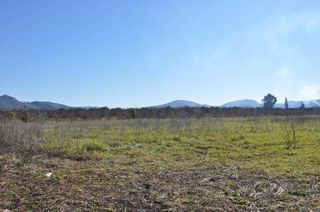Αγροτεμάχια 8.000 τ.μ. για πώληση, Αργολίδα, Άργος-thumb-5