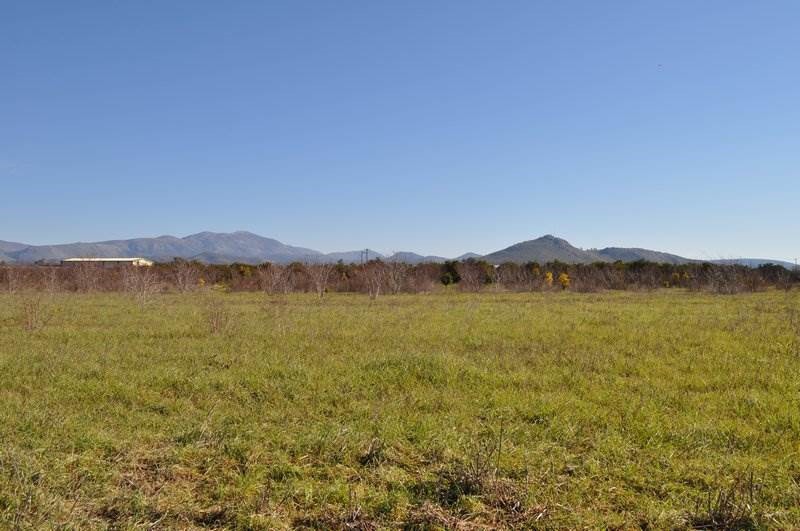Αγροτεμάχια 8.000 τ.μ. προς πώληση, Δαλαμανάρα
