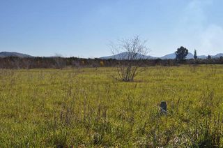 Αγροτεμάχια 8.000 τ.μ. για πώληση, Αργολίδα, Άργος-thumb-10