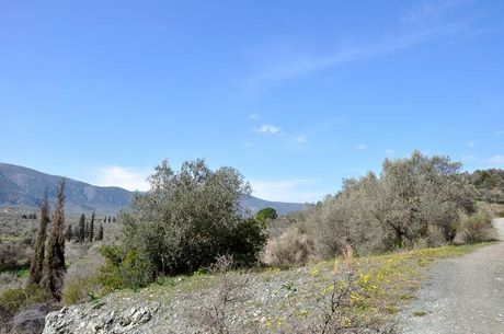 Parcel 12.000 sqm for sale