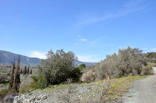 Parcel 12.000 sqm for sale