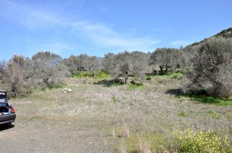 Αγροτεμάχια 12.000τ.μ. για πώληση-Επίδαυρος