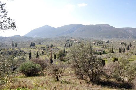 Αγροτεμάχια 12.000τ.μ. για πώληση-Επίδαυρος