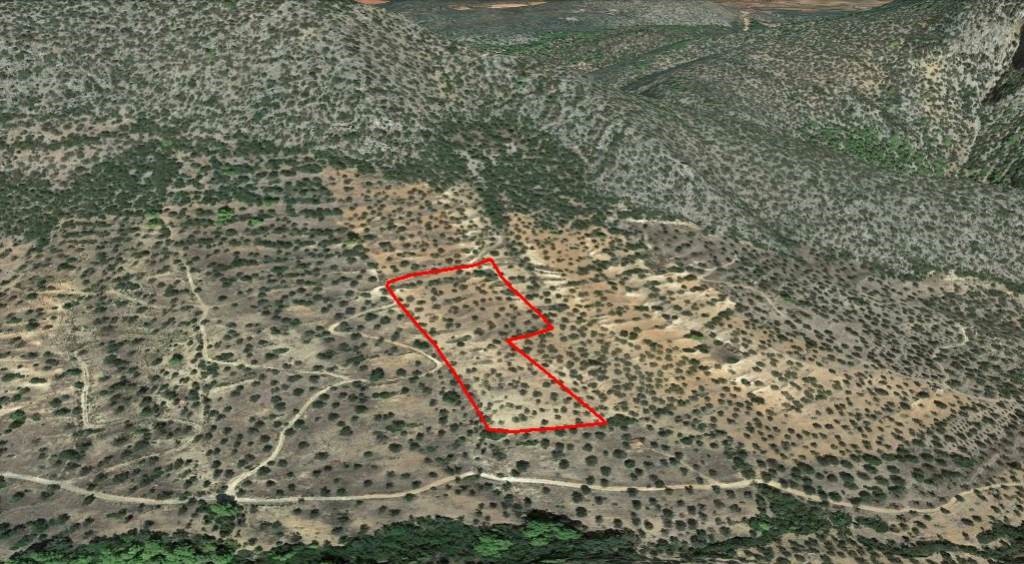 Αγροτεμάχια 13.824 τ.μ. προς πώληση, Ερμιόνη