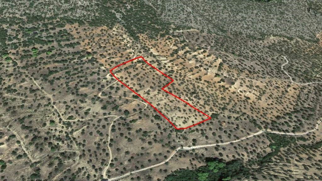 Αγροτεμάχια 13.824 τ.μ. προς πώληση, Ερμιόνη