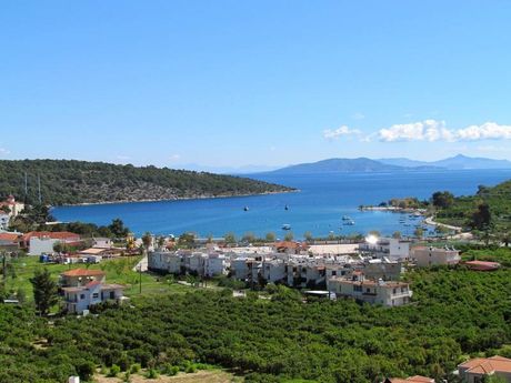 Αγροτεμάχια 4.050τ.μ. για πώληση-Επίδαυρος