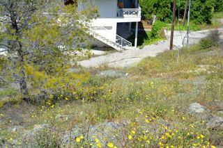 Οικόπεδο 720 τ.μ. για πώληση, Αργολίδα, Επίδαυρος-thumb-19