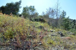 Οικόπεδο 720 τ.μ. για πώληση, Αργολίδα, Επίδαυρος-thumb-15