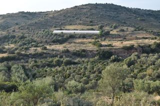 Αγροτεμάχια 6.300 τ.μ. για πώληση, Αργολίδα, Ναύπλιο-thumb-8