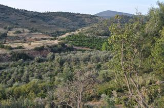 Αγροτεμάχια 6.300 τ.μ. για πώληση, Αργολίδα, Ναύπλιο-thumb-2