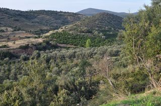 Αγροτεμάχια 6.300 τ.μ. για πώληση, Αργολίδα, Ναύπλιο-thumb-10