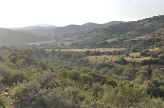 Αγροτεμάχια 6.300 τ.μ. για πώληση, Αργολίδα, Ναύπλιο-thumb-9