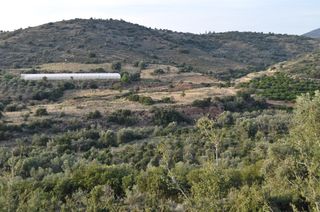 Αγροτεμάχια 6.300 τ.μ. για πώληση, Αργολίδα, Ναύπλιο-thumb-11