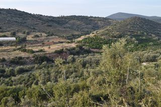 Αγροτεμάχια 6.300 τ.μ. για πώληση, Αργολίδα, Ναύπλιο-thumb-1