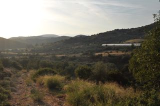 Αγροτεμάχια 6.300 τ.μ. για πώληση, Αργολίδα, Ναύπλιο-thumb-14