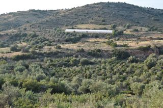 Αγροτεμάχια 6.300 τ.μ. για πώληση, Αργολίδα, Ναύπλιο-thumb-5