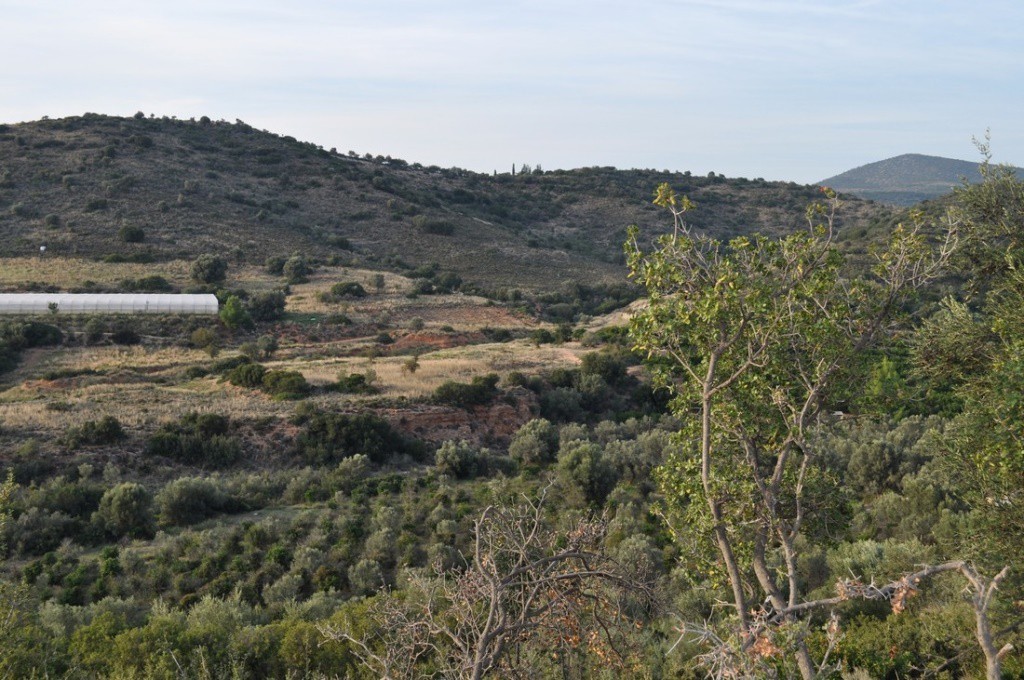 Αγροτεμάχια 6.300 τ.μ. προς πώληση, Λευκάκια