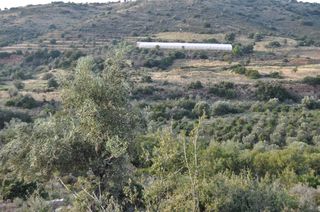 Αγροτεμάχια 6.300 τ.μ. για πώληση, Αργολίδα, Ναύπλιο-thumb-12