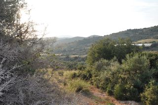 Αγροτεμάχια 6.300 τ.μ. για πώληση, Αργολίδα, Ναύπλιο-thumb-15