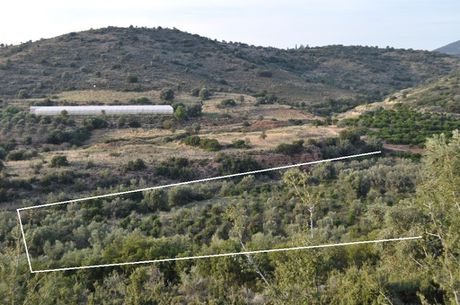 Αγροτεμάχια 6.300τ.μ. για πώληση-Ναύπλιο