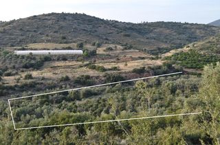 Αγροτεμάχια 6.300 τ.μ. για πώληση