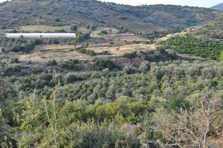 Αγροτεμάχια 6.300 τ.μ. για πώληση, Αργολίδα, Ναύπλιο-thumb-13