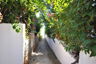 Οικόπεδο 542 τ.μ. για πώληση, Αρκαδία, Βόρεια Κυνουρία-thumb-12