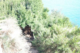 Οικόπεδο 542 τ.μ. για πώληση, Αρκαδία, Βόρεια Κυνουρία-thumb-11
