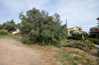 Οικόπεδο 542 τ.μ. για πώληση, Αρκαδία, Βόρεια Κυνουρία-thumb-21